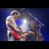 ALCHEMY PROJECT - HOMENAJE DIRE STRAITS Viernes 17 Enero 2025