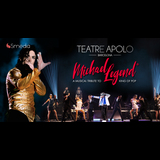 Michael Legend, tributo a Michael Jackson Del Miercoles 2 Julio al Domingo 20 Julio 2025