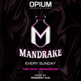 Domingo - Mandrake - Opium Barcelona Domingo 12 Enero 2025