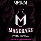 Domingo - Mandrake - Opium Barcelona Domingo 15 Diciembre 2024