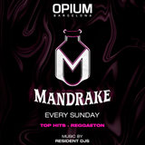 Domingo - Mandrake - Opium Barcelona Domingo 27 Octubre 2024