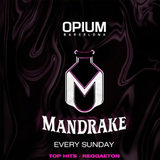 Domingo - Mandrake - Opium Barcelona Domingo 6 Octubre 2024