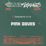 PINK DOVES Sabado 14 Diciembre 2024