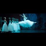 Ballet Clásico Internacional Lunes 20 Enero 2025