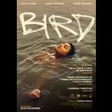 Bird Viernes 29 Noviembre 2024