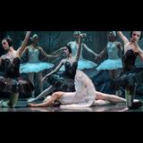 El llac del cignes. International Ballet Company Domingo 20 Octubre 2024