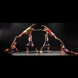 Pilobolus Dance Theatre Domingo 20 Abril 2025