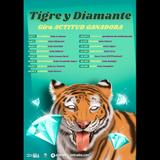 Concierto de Tigre y Diamante en Barcelona Divendres 15 Novembre 2024