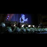 Hollywood Symphony Orchestra Dilluns 30 Desembre 2024