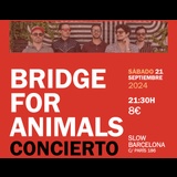 LIVE! Bridge for Animals Dissabte 21 Setembre 2024