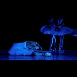 V Gala TEMPOBALLET Llac dels Cignes i altres coreografies Diumenge 15 Juny 2025