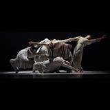 Xiexin Dance Theatre Dissabte 15 Març 2025