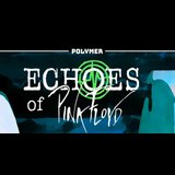 Echoes of Pink Floyd Saturday 12 April 2025