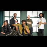 Irreversible Entanglements - El Molino conciertos Sunday 19 January 2025