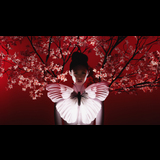 Madama Butterfly From Sunday 8 December to Saturday 28 December 2024