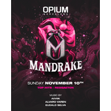 Mandrake Sunday 12 January 2025