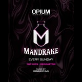 Mandrake Sunday 13 October 2024