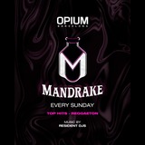 Mandrake Sunday 22 September 2024