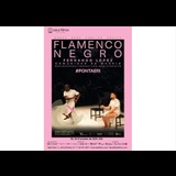 Flamenco negro Monday 28 and Tuesday 29 October 2024