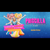 Priscilla, reina del desierto From Tuesday 19 November to Saturday 18 January 2025