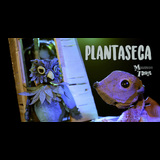 Plantaseca Saturday 21 and Saturday 28 September 2024